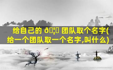 给自己的 🦋 团队取个名字(给一个团队取一个名字,叫什么)